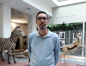 igor festari